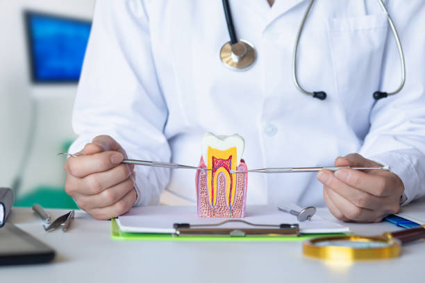 Best After-Hours Dental Trauma Care in Bystrom, CA